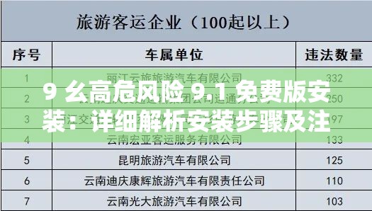 9 幺高危风险 9.1 免费版安装：详细解析安装步骤及注意事项