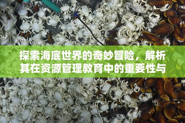 探索海底世界的奇妙冒险，解析其在资源管理教育中的重要性与趣味性