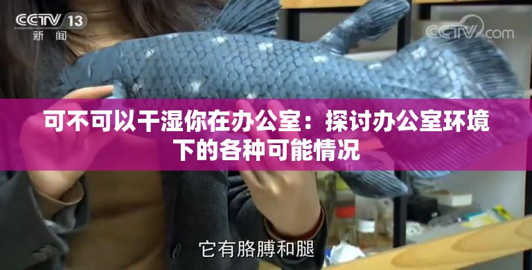 可不可以干湿你在办公室：探讨办公室环境下的各种可能情况