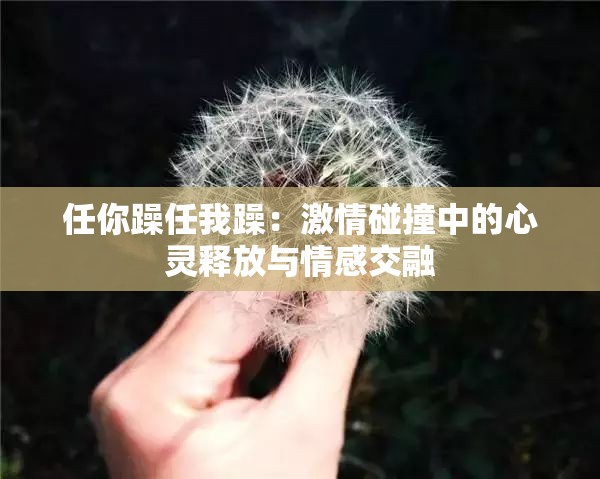 任你躁任我躁：激情碰撞中的心灵释放与情感交融