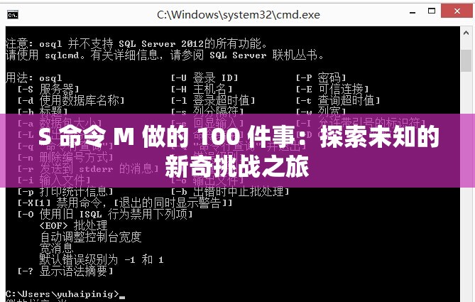 S 命令 M 做的 100 件事：探索未知的新奇挑战之旅