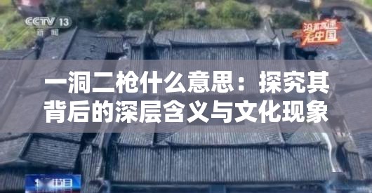 一洞二枪什么意思：探究其背后的深层含义与文化现象