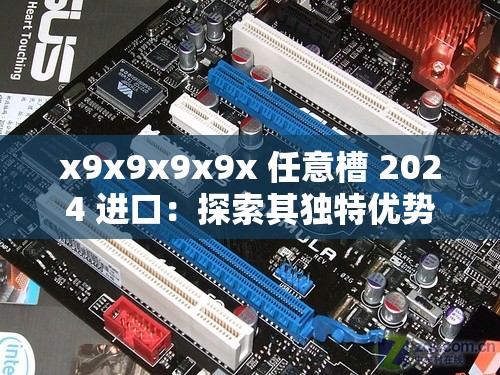 x9x9x9x9x 任意槽 2024 进口：探索其独特优势与未来发展方向