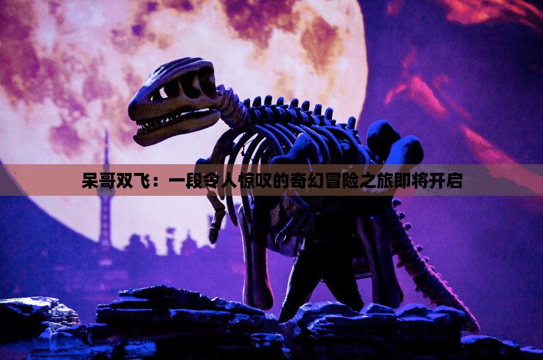 呆哥双飞：一段令人惊叹的奇幻冒险之旅即将开启