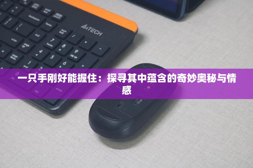 一只手刚好能握住：探寻其中蕴含的奇妙奥秘与情感