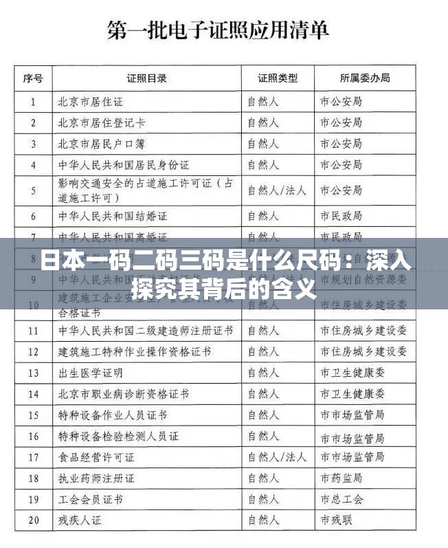 日本一码二码三码是什么尺码：深入探究其背后的含义