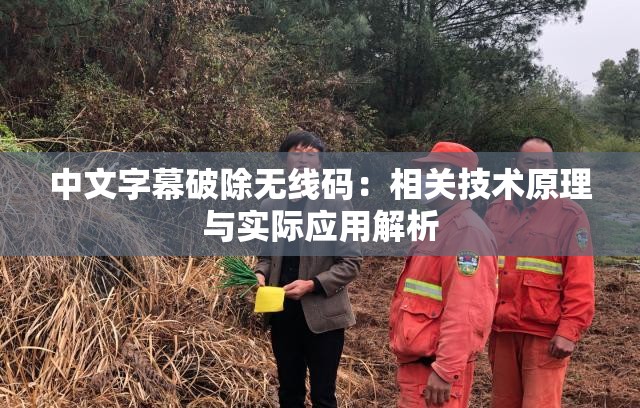 中文字幕破除无线码：相关技术原理与实际应用解析