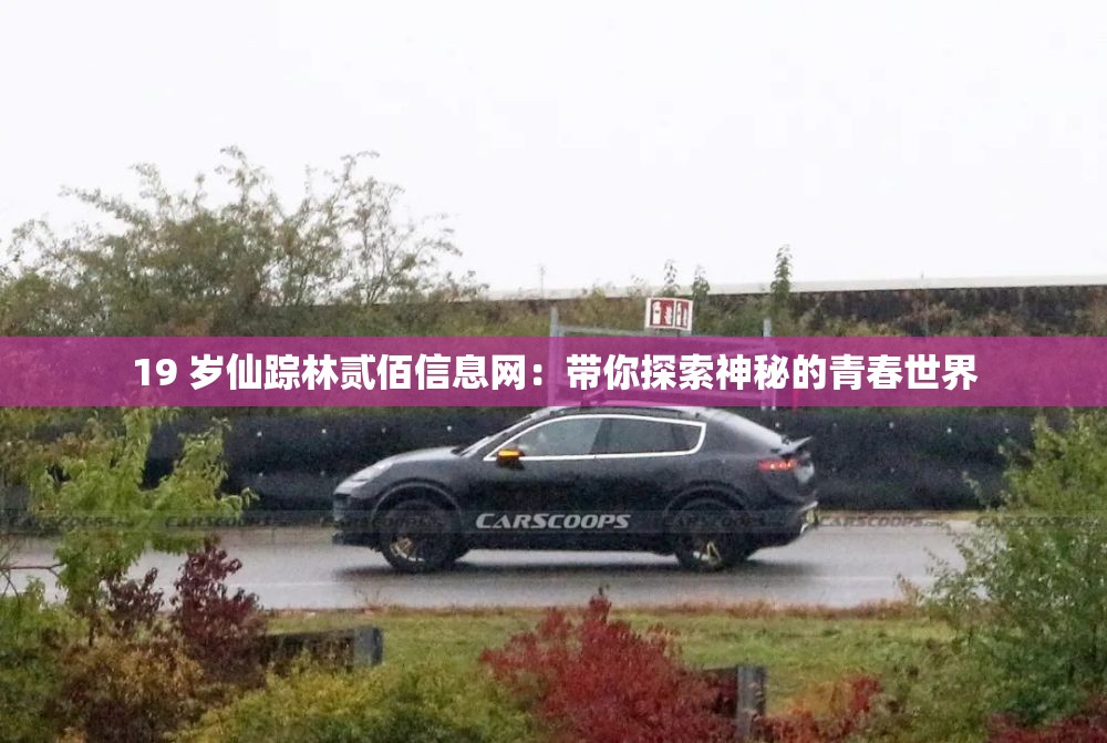 19 岁仙踪林贰佰信息网：带你探索神秘的青春世界