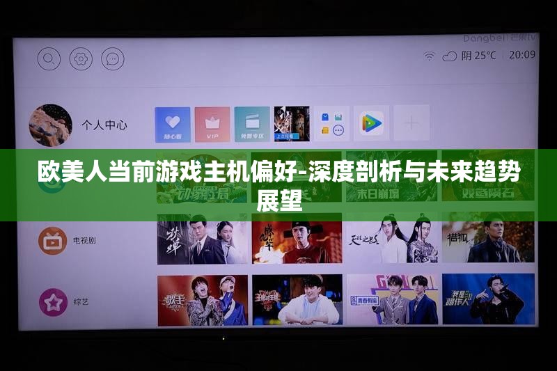 欧美人当前游戏主机偏好-深度剖析与未来趋势展望