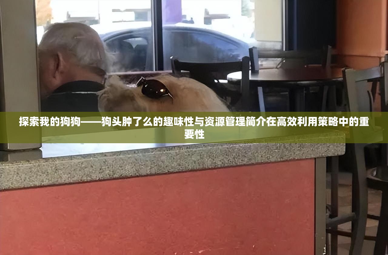 探索我的狗狗——狗头肿了么的趣味性与资源管理简介在高效利用策略中的重要性