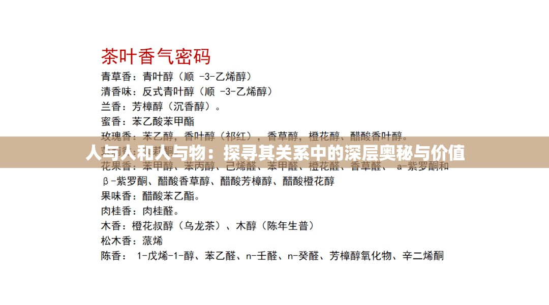 人与人和人与物：探寻其关系中的深层奥秘与价值