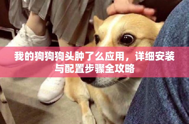 我的狗狗狗头肿了么应用，详细安装与配置步骤全攻略