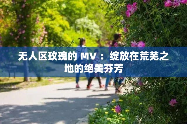 无人区玫瑰的 MV ：绽放在荒芜之地的绝美芬芳