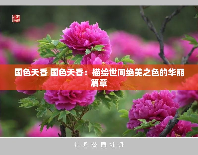 国色天香 国色天香：描绘世间绝美之色的华丽篇章