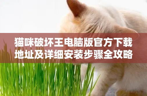 猫咪破坏王电脑版官方下载地址及详细安装步骤全攻略指南