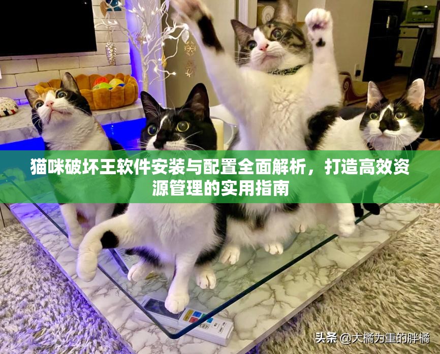 猫咪破坏王软件安装与配置全面解析，打造高效资源管理的实用指南