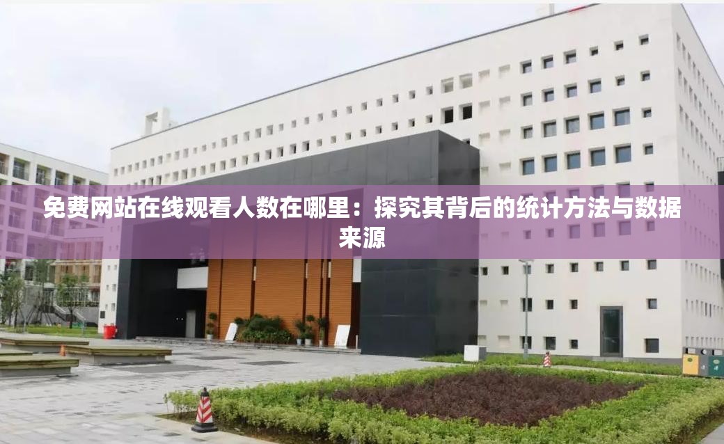 免费网站在线观看人数在哪里：探究其背后的统计方法与数据来源