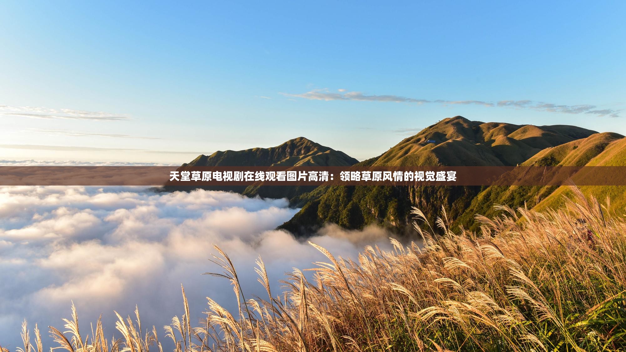 天堂草原电视剧在线观看图片高清：领略草原风情的视觉盛宴