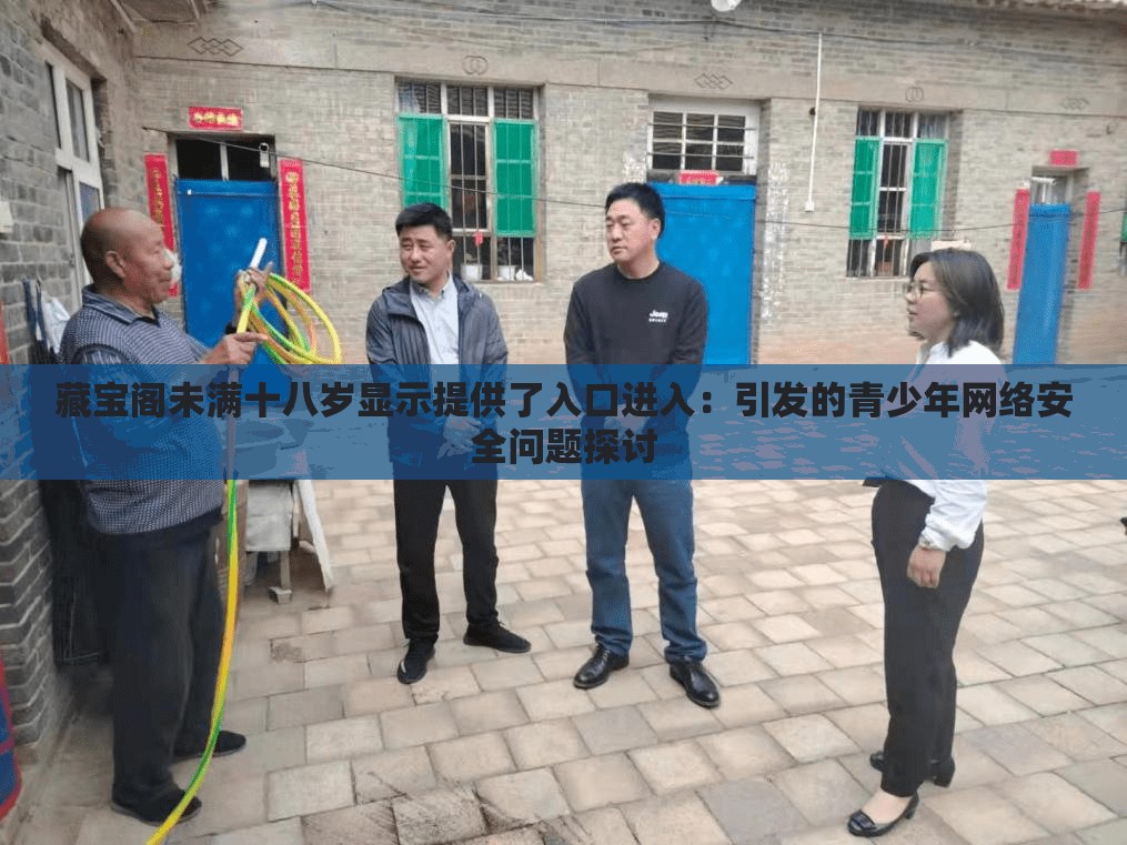 藏宝阁未满十八岁显示提供了入口进入：引发的青少年网络安全问题探讨