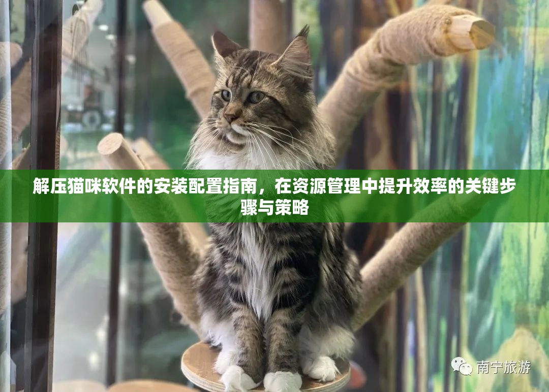 解压猫咪软件的安装配置指南，在资源管理中提升效率的关键步骤与策略