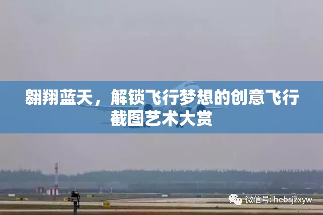 翱翔蓝天，解锁飞行梦想的创意飞行截图艺术大赏