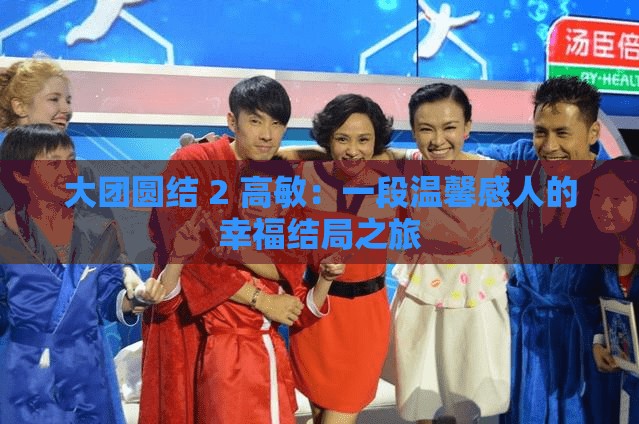 大团圆结 2 高敏：一段温馨感人的幸福结局之旅
