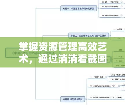 掌握资源管理高效艺术，通过消消看截图预览实现资源快速浏览与管理