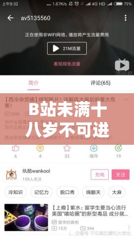 B站未满十八岁不可进：探究这一规定背后的原因与影响