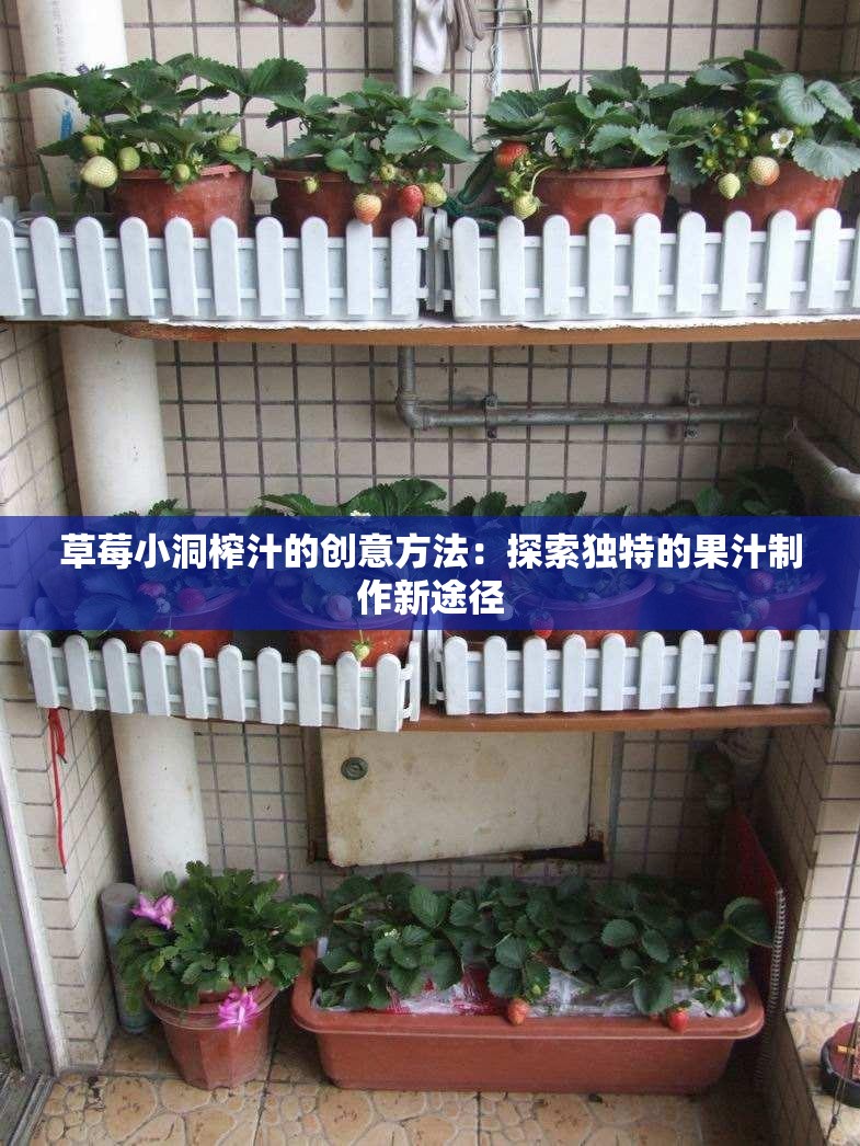 草莓小洞榨汁的创意方法：探索独特的果汁制作新途径