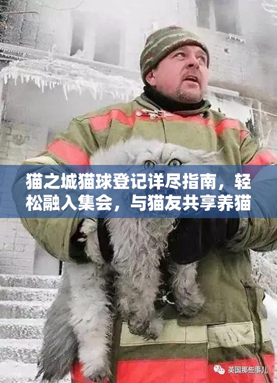 猫之城猫球登记详尽指南，轻松融入集会，与猫友共享养猫无限乐趣