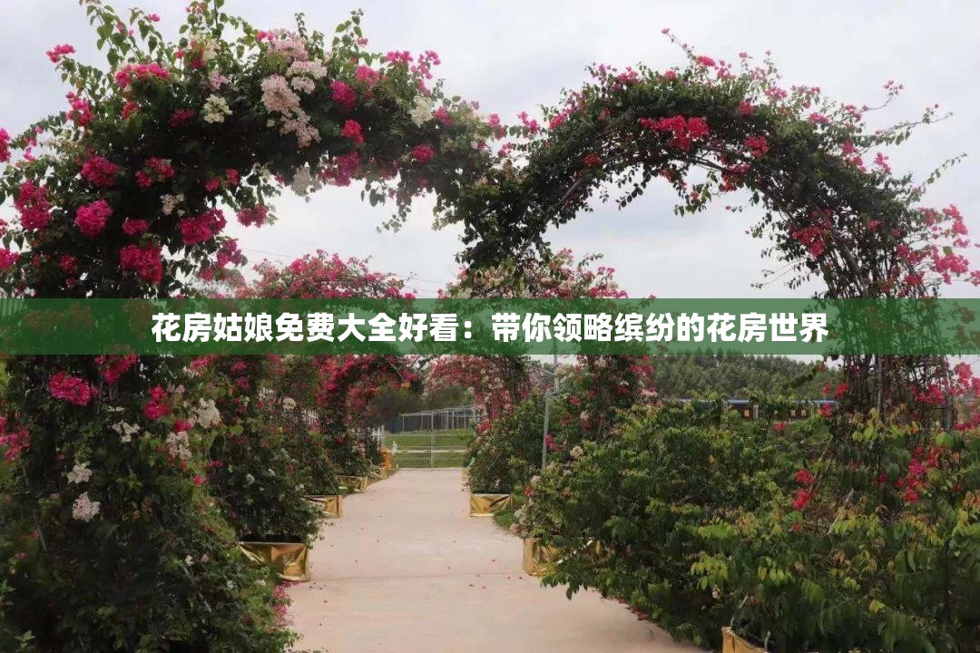 花房姑娘免费大全好看：带你领略缤纷的花房世界