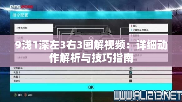 9浅1深左3右3图解视频：详细动作解析与技巧指南