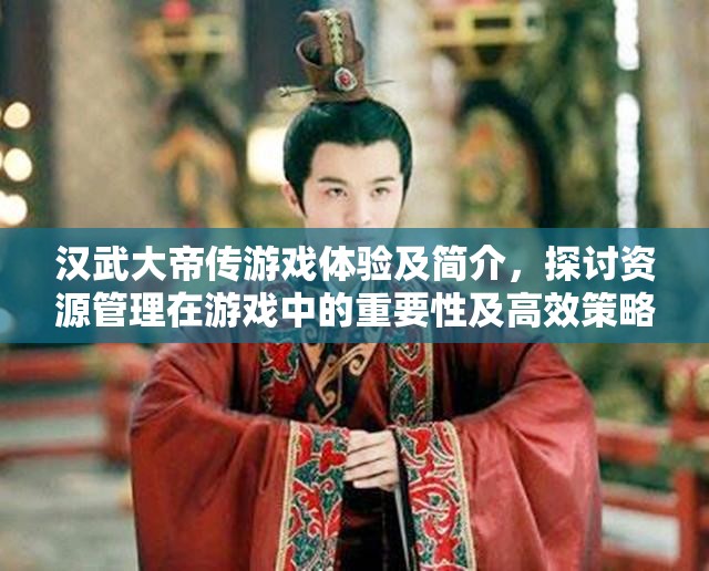 汉武大帝传游戏体验及简介，探讨资源管理在游戏中的重要性及高效策略