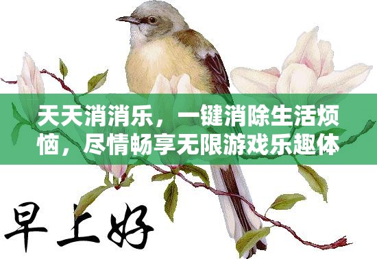 天天消消乐，一键消除生活烦恼，尽情畅享无限游戏乐趣体验