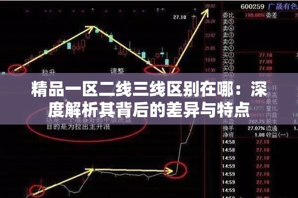 精品一区二线三线区别在哪：深度解析其背后的差异与特点