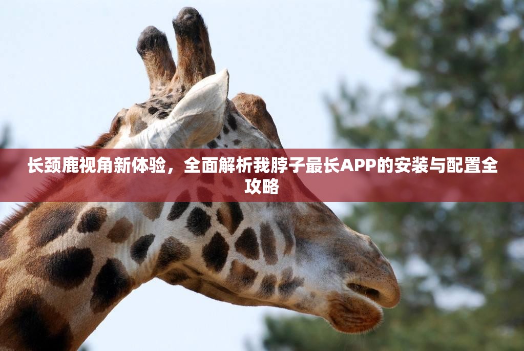 长颈鹿视角新体验，全面解析我脖子最长APP的安装与配置全攻略