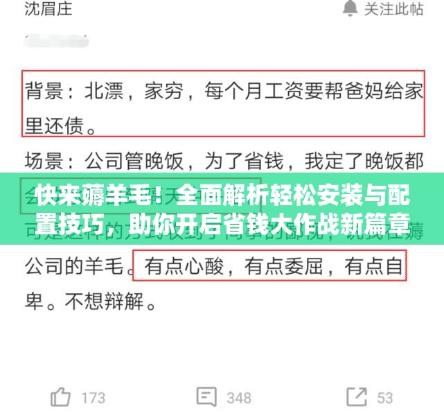 快来薅羊毛！全面解析轻松安装与配置技巧，助你开启省钱大作战新篇章