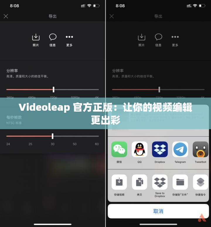 Videoleap 官方正版：让你的视频编辑更出彩