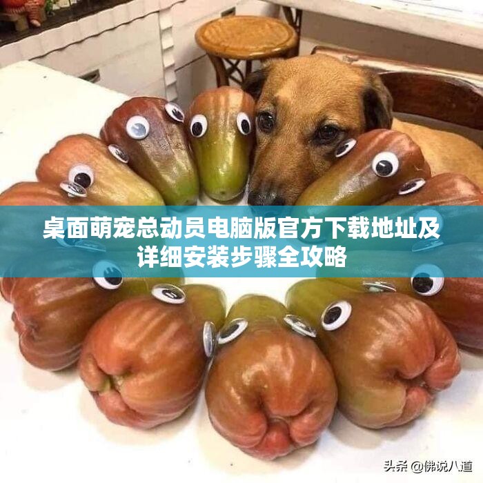 桌面萌宠总动员电脑版官方下载地址及详细安装步骤全攻略