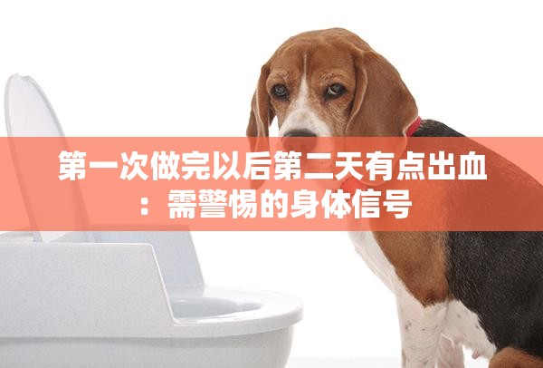 第一次做完以后第二天有点出血：需警惕的身体信号