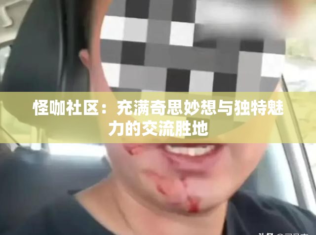 怪咖社区：充满奇思妙想与独特魅力的交流胜地