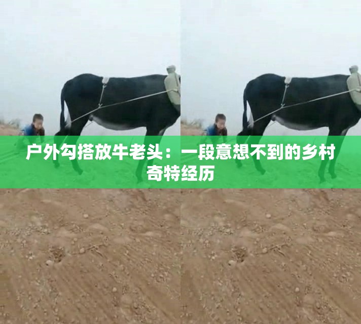 户外勾搭放牛老头：一段意想不到的乡村奇特经历