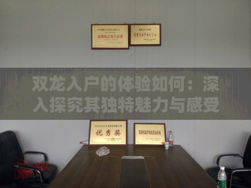 双龙入户的体验如何：深入探究其独特魅力与感受