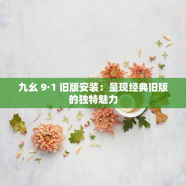 九幺 9·1 旧版安装：呈现经典旧版的独特魅力