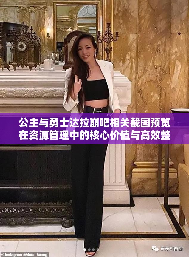 公主与勇士达拉崩吧相关截图预览在资源管理中的核心价值与高效整合利用策略