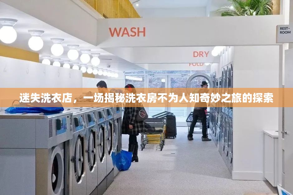 迷失洗衣店，一场揭秘洗衣房不为人知奇妙之旅的探索