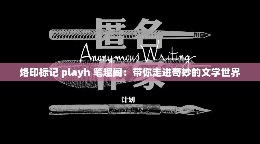 烙印标记 playh 笔趣阁：带你走进奇妙的文学世界