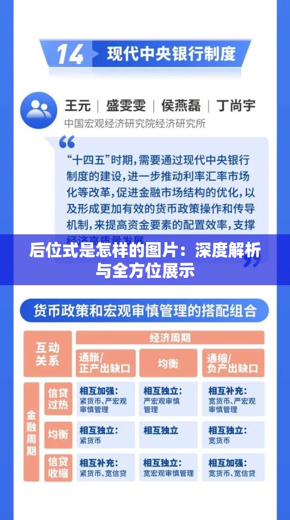 后位式是怎样的图片：深度解析与全方位展示