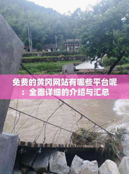 免费的黄冈网站有哪些平台呢：全面详细的介绍与汇总