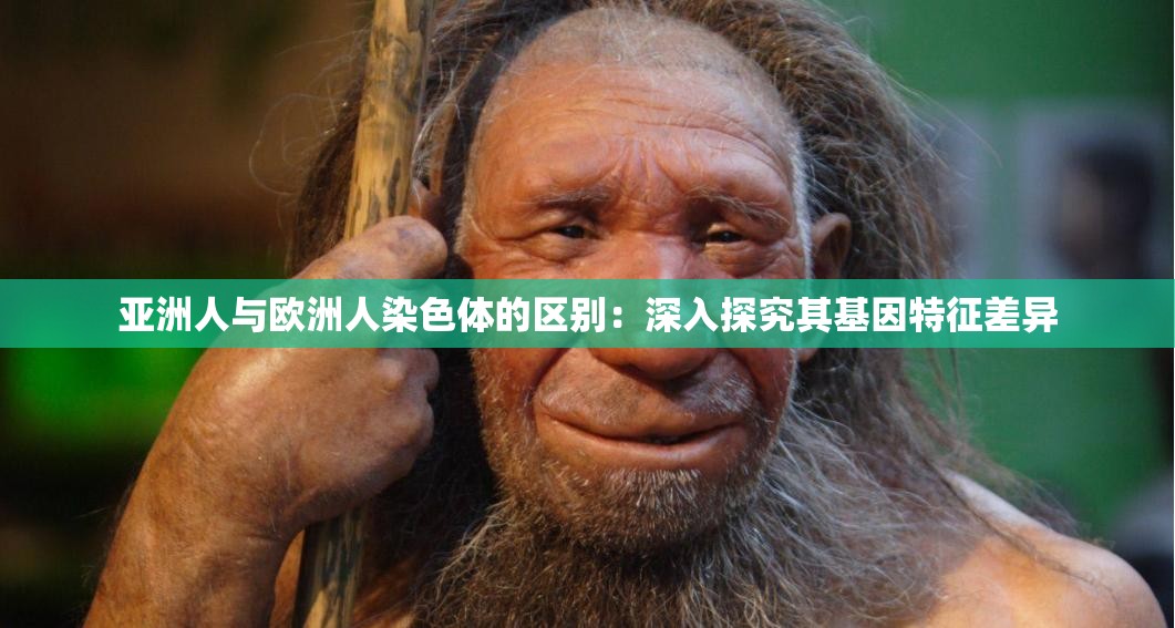 亚洲人与欧洲人染色体的区别：深入探究其基因特征差异